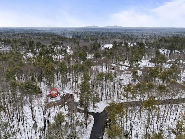 birds eye view of property with a forest view and a mountain view