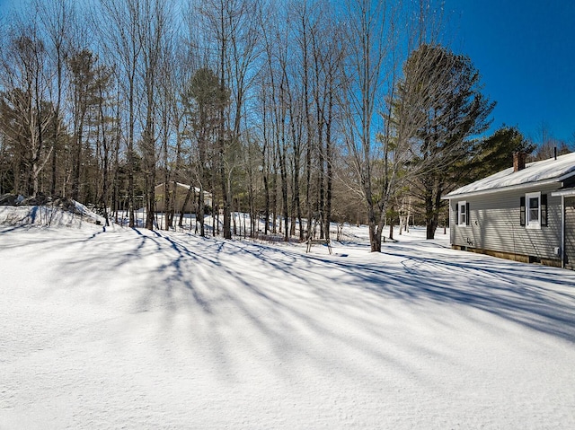 view of snowy yard