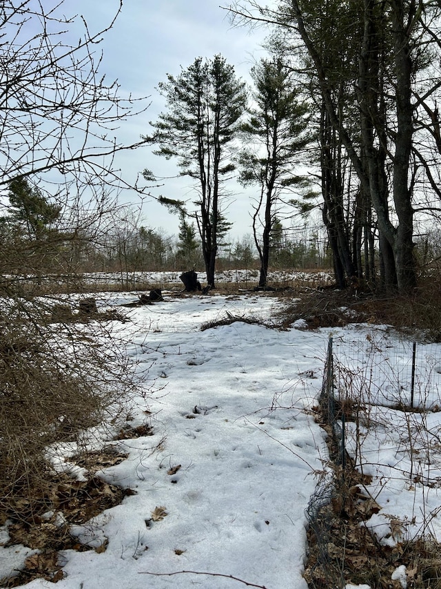 view of yard layered in snow