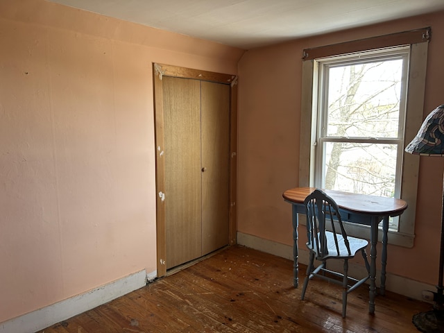 interior space featuring baseboards and hardwood / wood-style floors