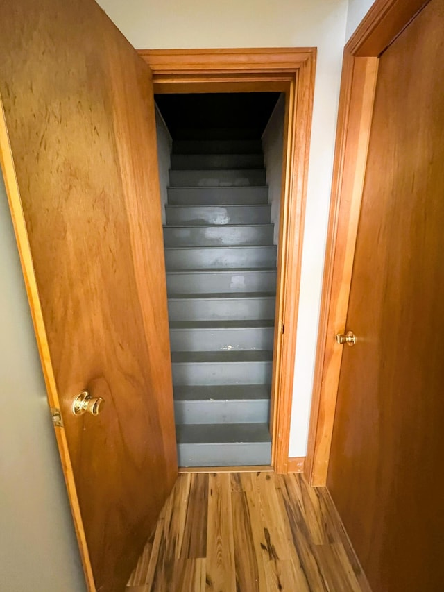 staircase featuring wood finished floors