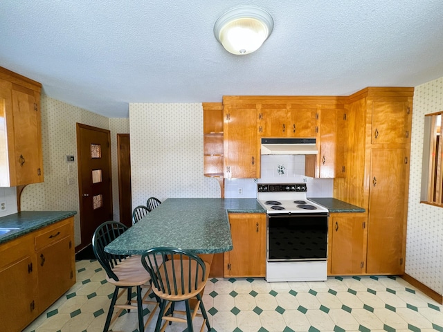 kitchen with wallpapered walls, under cabinet range hood, light floors, and range with electric stovetop