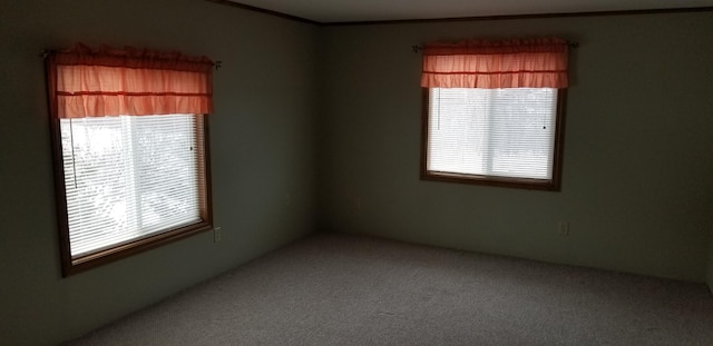 spare room with carpet and crown molding