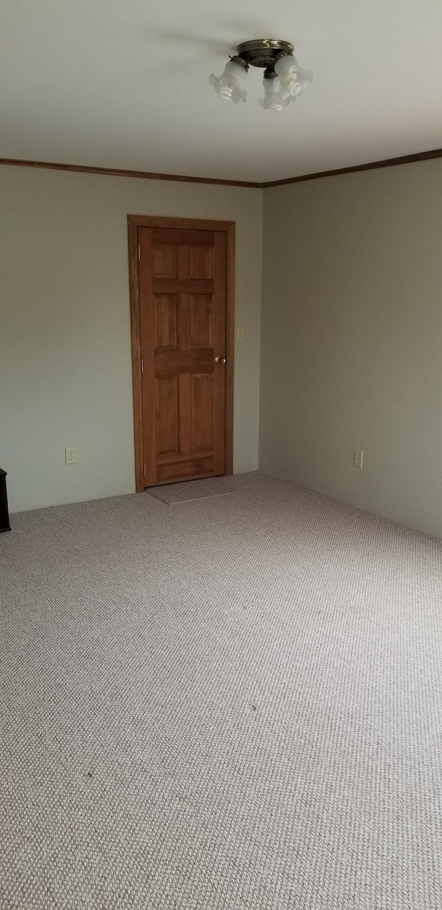 carpeted empty room featuring crown molding