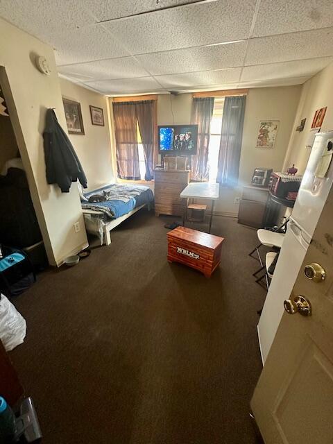 carpeted bedroom featuring multiple windows and a drop ceiling