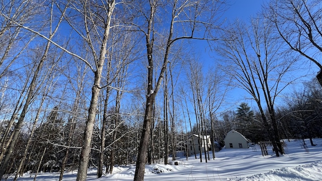 view of yard covered in snow