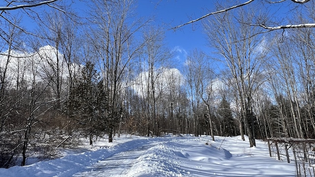 view of yard covered in snow