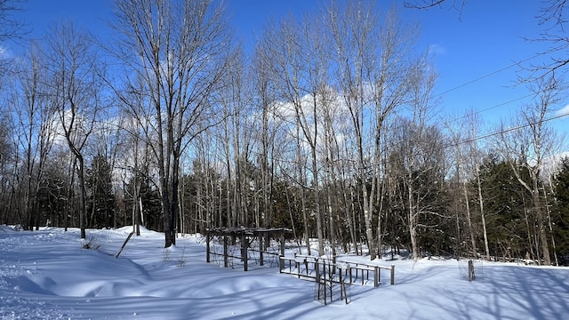 view of snowy yard