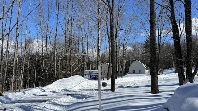 yard layered in snow featuring a wooded view