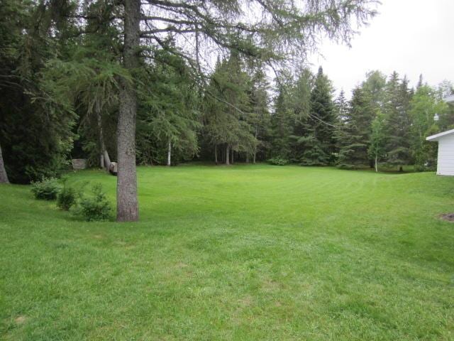 131 Clover St, Madawaska, ME 04756 - view of yard