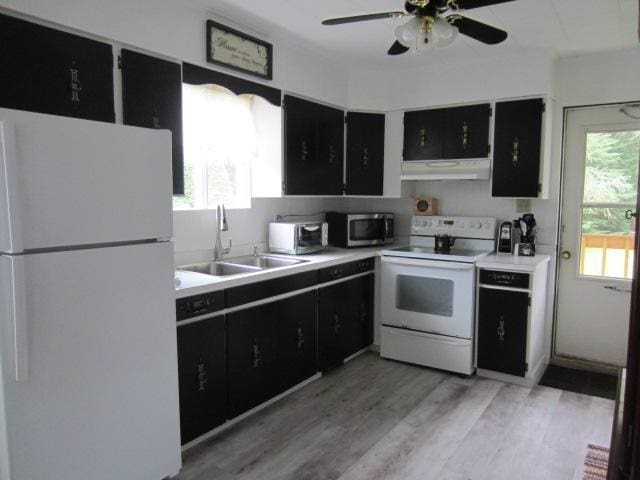 131 Clover St, Madawaska, ME 04756 - kitchen featuring light wood-style flooring, under cabinet range hood, white appliances, a sink, and dark cabinetry