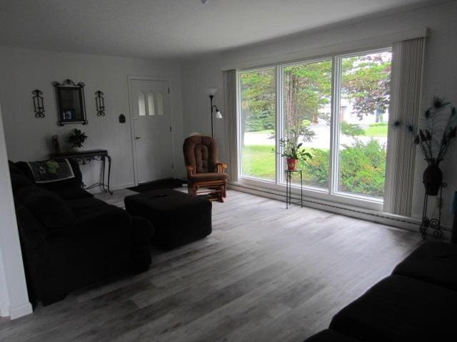 131 Clover St, Madawaska, ME 04756 - living area featuring wood finished floors