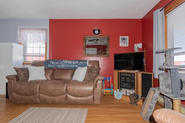633 Main St, Madawaska, ME 04756 - living area featuring wood finished floors and a healthy amount of sunlight