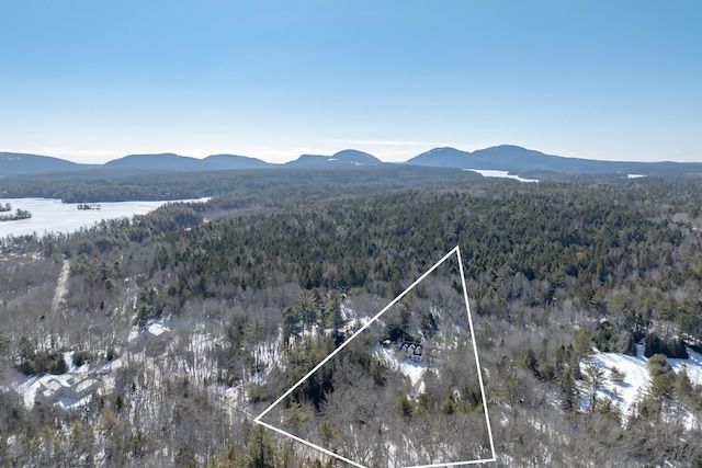 aerial view featuring a forest view and a mountain view