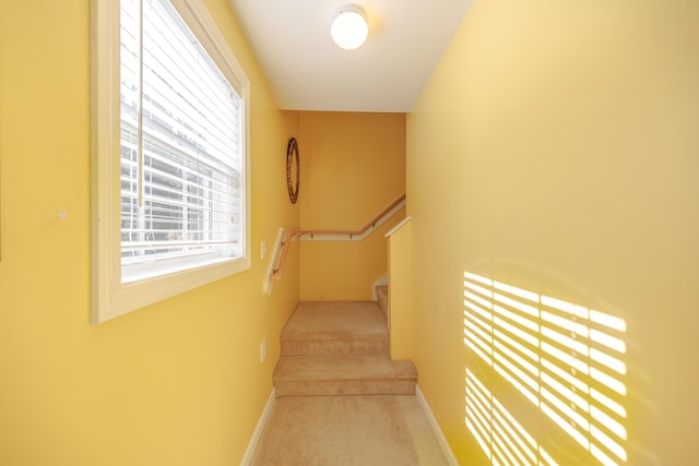 corridor featuring carpet, baseboards, and stairs