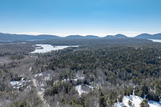 view of mountain feature featuring a forest view