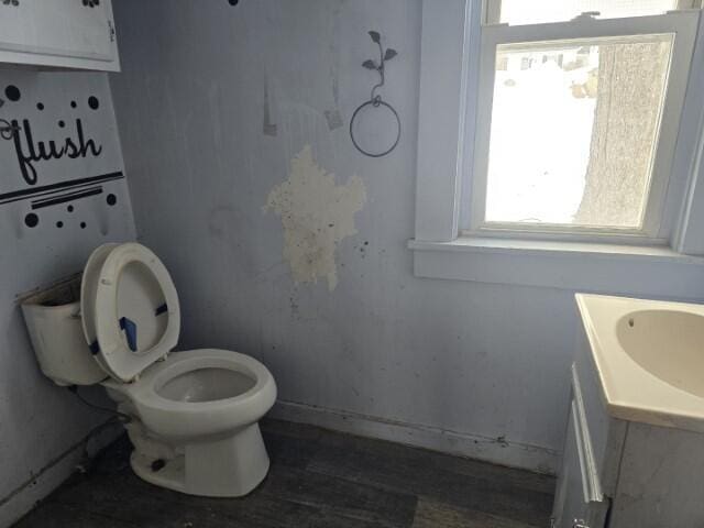 bathroom featuring vanity, toilet, and wood finished floors