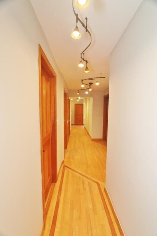 220 Church Rd, Bangor, ME 04401 - hall with light wood finished floors, rail lighting, and baseboards