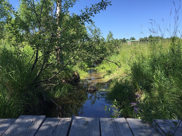 220 Church Rd, Bangor, ME 04401 - view of landscape