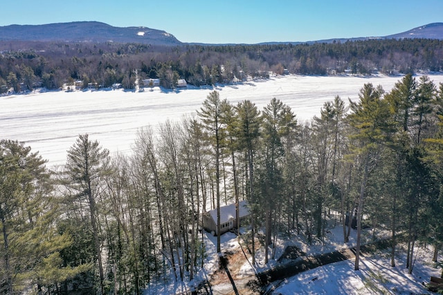 property view of mountains with a forest view