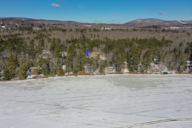 mountain view featuring a wooded view