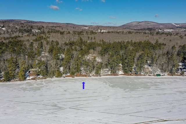 view of mountain feature with a forest view