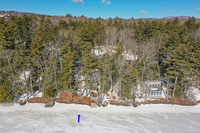 birds eye view of property featuring a wooded view