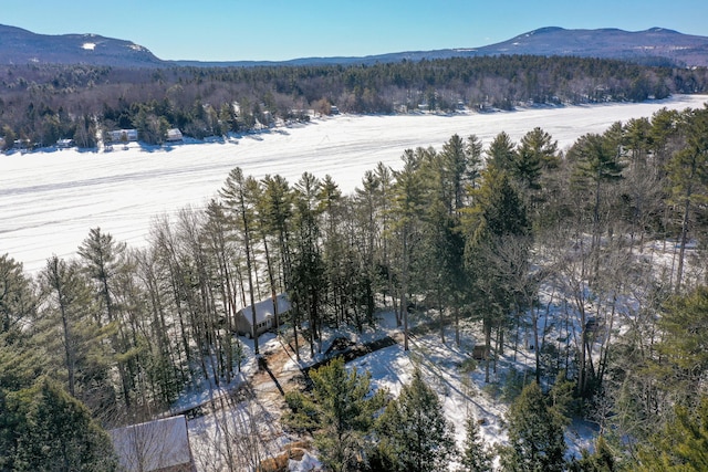 aerial view with a mountain view and a view of trees