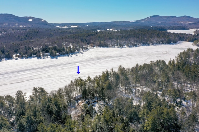 property view of mountains with a forest view