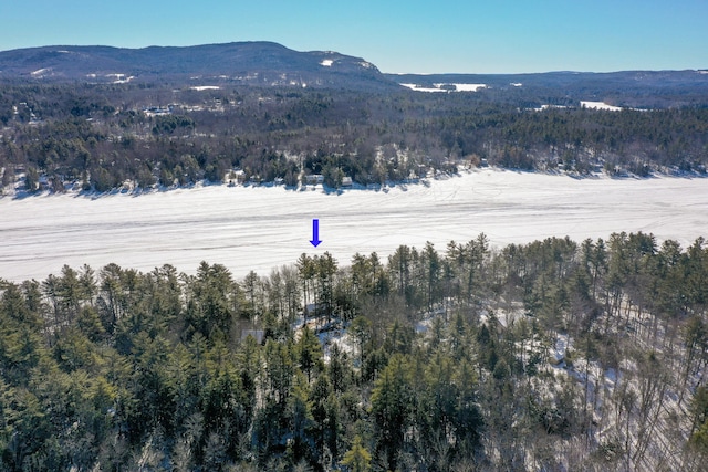 property view of mountains featuring a wooded view