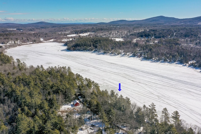 birds eye view of property featuring a mountain view and a view of trees