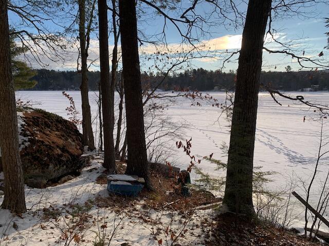 property view of water with a forest view