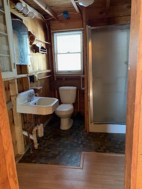 bathroom featuring wood finished floors, a stall shower, toilet, and a sink