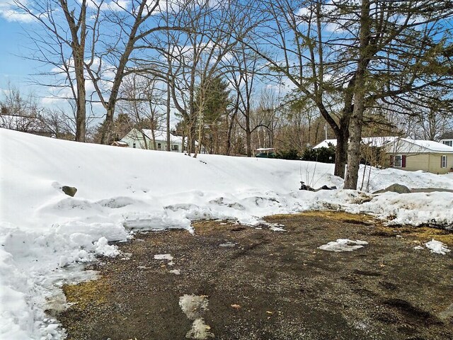 view of yard covered in snow