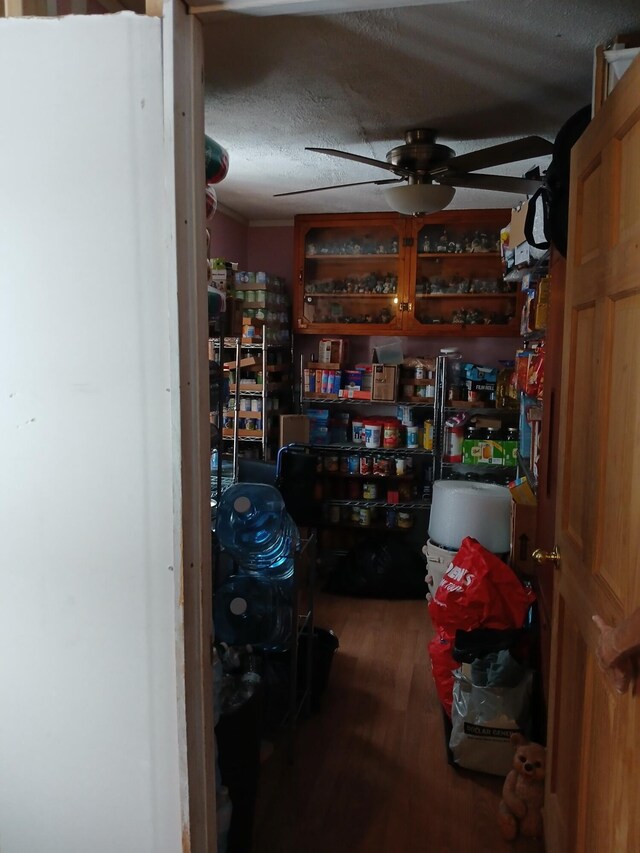 storage room featuring ceiling fan