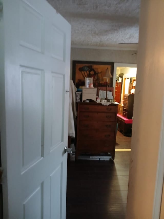 hallway with a textured ceiling and dark wood-style flooring