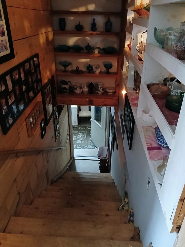 wine room featuring wooden walls and wood finished floors