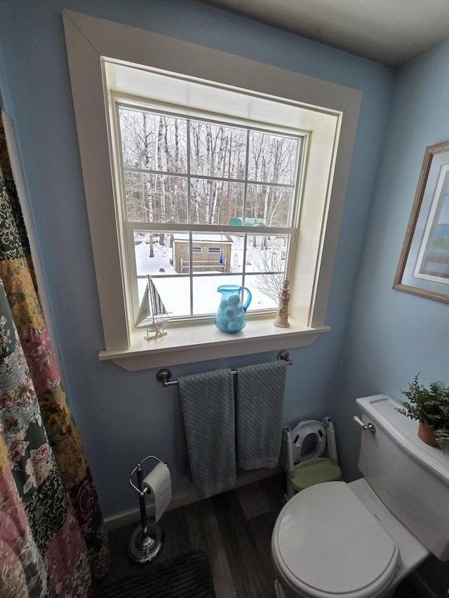 bathroom with wood finished floors and toilet