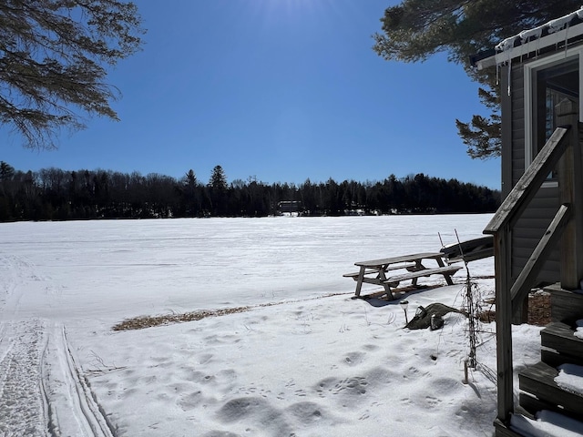 view of yard covered in snow