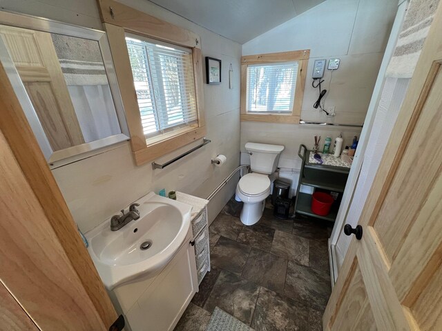35 Swan Ln, Dexter, ME 04930 - bathroom with stone finish floor, lofted ceiling, toilet, and vanity
