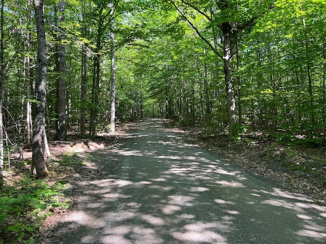 35 Swan Ln, Dexter, ME 04930 - view of road with a view of trees