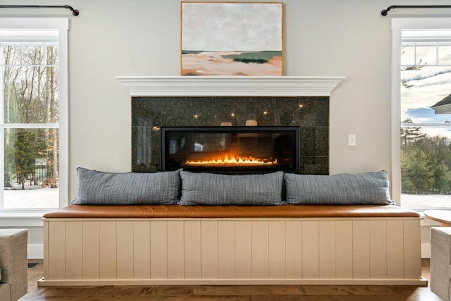 room details featuring wood finished floors and a tile fireplace