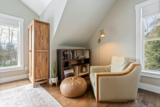 living area featuring baseboards, lofted ceiling, and wood-type flooring