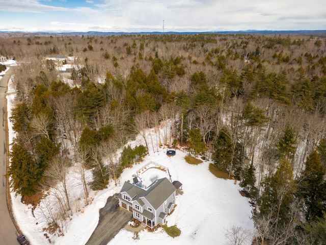 birds eye view of property with a forest view