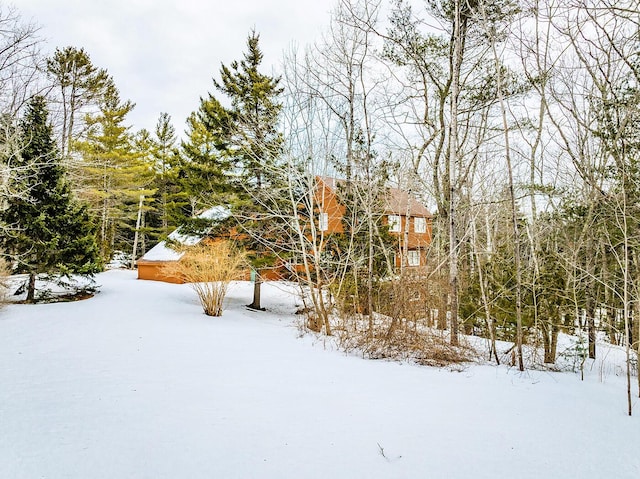 view of yard layered in snow