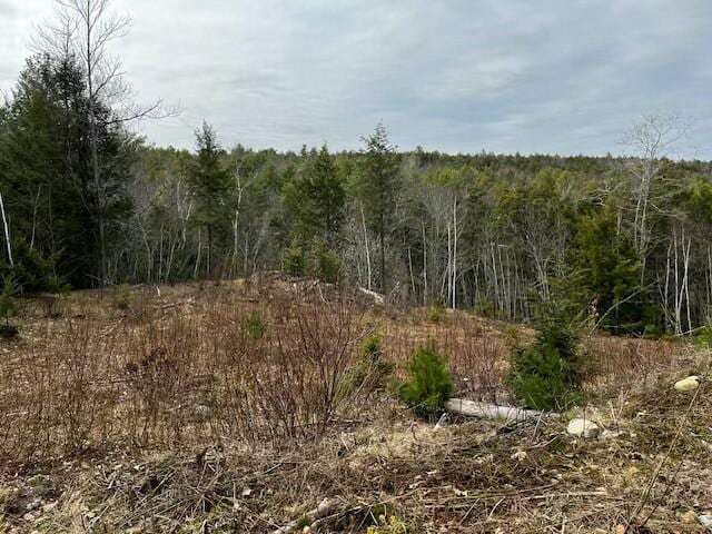 286 Ridge Rd, Bath ME, 04530 land for sale