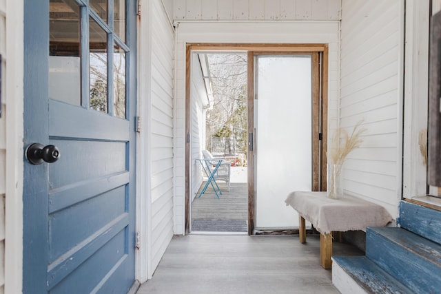 entryway featuring wood walls and wood finished floors