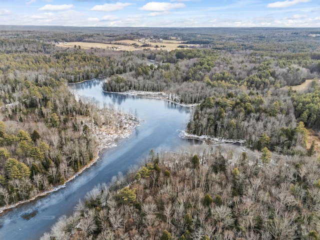 bird's eye view featuring a water view and a wooded view