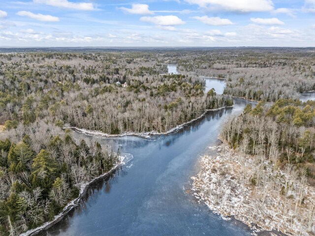 drone / aerial view with a view of trees and a water view