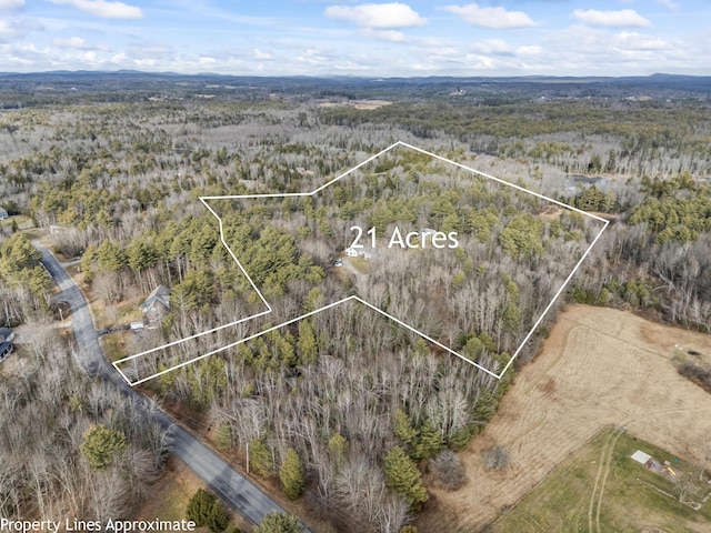 bird's eye view with a view of trees